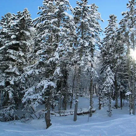 Résidence Casino - Proche Bus Et Commerces Mae-8304 Appartement