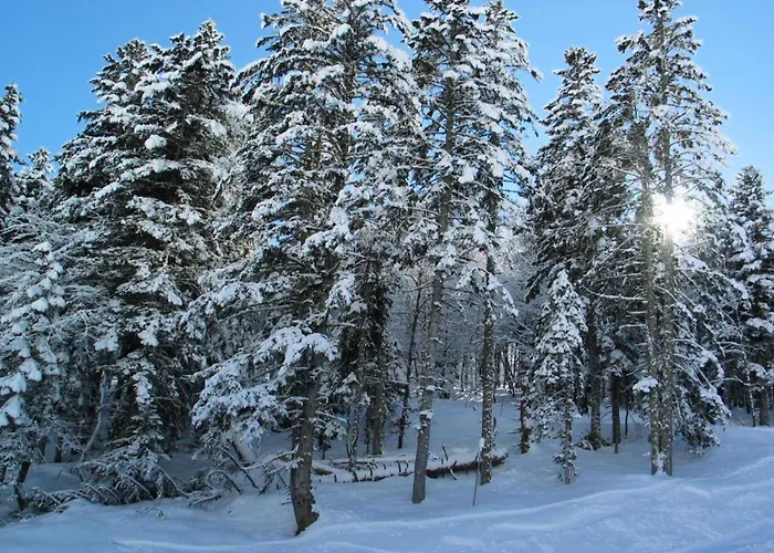 Résidence Casino - Proche Bus Et Commerces Mae-8304 Appartement Barèges